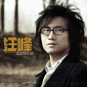 欧美一区二区A片视频
